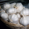 Specially customized small package garlic